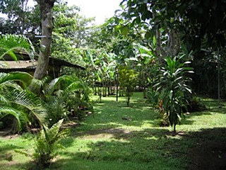 foto 023